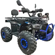 Квадроцикл с электродвигателем Spark Storm 1500w (синий), фото 