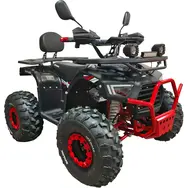 Квадроцикл с электродвигателем Spark Storm 1500w (красный), фото 