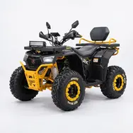 Квадроцикл с электродвигателем Spark Hornet 3000w (желтый), фото 