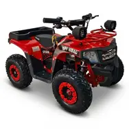 Квадроцикл с электродвигателем Spark Junior 1000w (красный), фото 