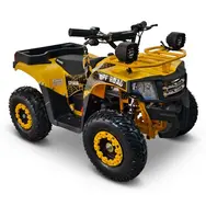 Квадроцикл с электродвигателем Spark Junior 1000w (желтый), фото 