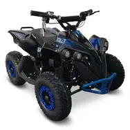 Квадроцикл с электродвигателем Spark Rocket 1000w (синий), фото 