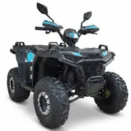 Квадроцикл SPARK SP125-11 (бирюзовый), фото 
