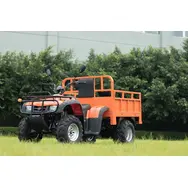 Квадроцикл  Forest Cargo 200  купити в Україні
