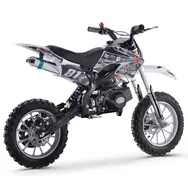 Детский мотоцикл Mini-Cross Renegade 50cc, фото 