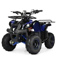 Електроквадроцикл Profi HB-EATV 1000D-4 (MP3) 1000W/48V  купити в Україні