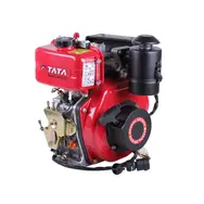 Двигатель TATA 173DE, 5 л.с., дизельный, вал 20 мм (шпонка), электростартер, фото 