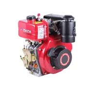 Двигатель TATA 173D, 5 л.с., дизельный, вал 20 мм (шпонка), фото 