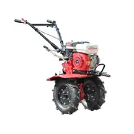 Мотоблок TATA TT-900-ZX, 7 л.с., бензин, воздушное (с фрезой), фото 