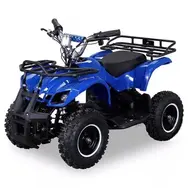Квадроцикл Pocket ATV 2T 65cc кикстартер-электростартер (синий), фото 