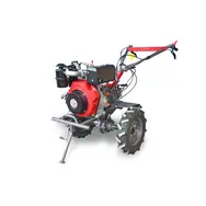 Мотоблок Weima WM1100B-6 DIFF, 9 л.с., дизель, воздушное (с фрезой), фото 