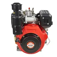 Двигатель Vitals DM 12.0sne, 12 л.с., дизельный, вал 25 мм (шлиц), электростартер, фото 