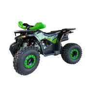 Квадроцикл Exdrive Hunter 125, фото 