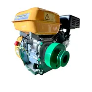 Двигатель FORTE F210GC, 7 л.с., бензиновый, вал 19 мм (шпонка), фото 