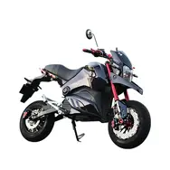 Электрический мотоцикл Motoleader ML2500Е 2000W, фото 