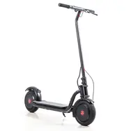 Электросамокат Maxxter TEO MAX 350W/36V, фото 