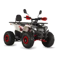 Электроквадроцикл EXDRIVE HUNTER EATV 1500W/60V (красный), фото 