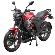 Мотоцикл Spark SP250R-33, фото 