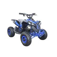 Электроквадроцикл Forte ATV1000RB (синий), фото 