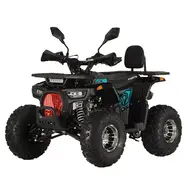 Квадроцикл Forte ATV125P (сине-красный), фото 