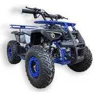 Електроквадроцикл Motoleader PIONEER NEW 1000W/48V (Синій), фото 