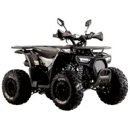 Квадроцикл Spark SP125-9 (Черный), фото 
