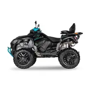 Квадроцикл ACCESS FF800UL -H00 Super Charge (Черный), фото 