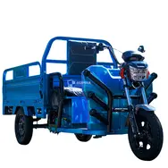Электротрицикл грузовой Renegade ET30 1200W 60V/45Ah, фото 