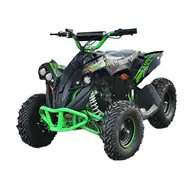Электроквадроцикл MotoZona Bomber 1000W/48V (Зеленый), фото 