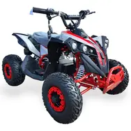Электроквадроцикл Forte ATV1200QB (красный), фото 