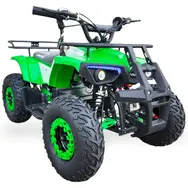 Электроквадроцикл Forte ATV1000RB (зеленый), фото 