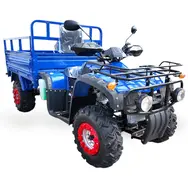 Грузовой Квадроцикл FORTE ATV250BS-T (Bashan), фото 