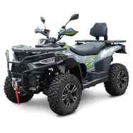 Квадроцикл LINHAI M650L EFI EPS PREMIUM (Черный), фото 