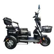 Электротрайк FADA OLDi MAX 1100W (трехколесный электроскутер) бронзовый, фото 