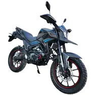 Мотоцикл Spark SP300T-2 (TEKKEN 300 dual sport), фото 