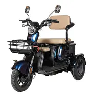 Електроскутер Atlas Elegant Trike 800W Cyan Blue  купити в Україні