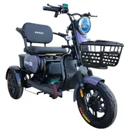 Электротрайк FADA OLDi MAX 1100W (трехколесный электроскутер) фиолетовый, фото 