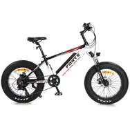 Электрический велосипед Forte Rider 20 E-Bike (черно-белый), фото 