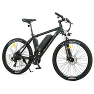 Електричний велосипед Forte Galaxy 26 E-Bike (gray)  купити в Україні