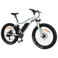 Электрический велосипед Forte Rapid 26 E-Bike (white), фото 