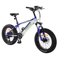 Электрический велосипед Forte Rider 20 E-Bike (сине-белый), фото 