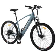 Электрический велосипед Forte Mirage 29 E-Bike (gray), фото 