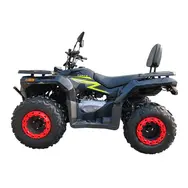 Квадроцикл FORTE ATV-200BS-К Черно-зеленый, фото 