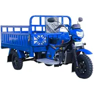 Грузовой мотоцикл FORTE ATV250ZH-T (синий), фото 
