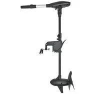 Электромотор Haswing Protruar G 3 л.с. 110Lbs 24В бесщеточный, фото 