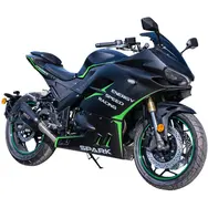 Мотоцикл Spark SP300RS-2 Sport (прямоток) (чорний матовий с зеленим)  купити в Україні