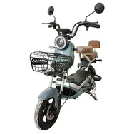 Электроскутер SPARK GLIDE Зелёный шалфей, фото 