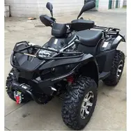 Квадроцикл LINHAI LH500ATV-D (Черный), фото 