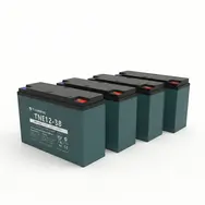 Комплект акумуляторів AGM Tianneng TNE12-38 48V 38Ah (4×12V) комплект  купити в Україні
