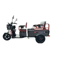 Электротрицикл грузовой 1000W CARGO 10" 60V 32Ah серый, фото 